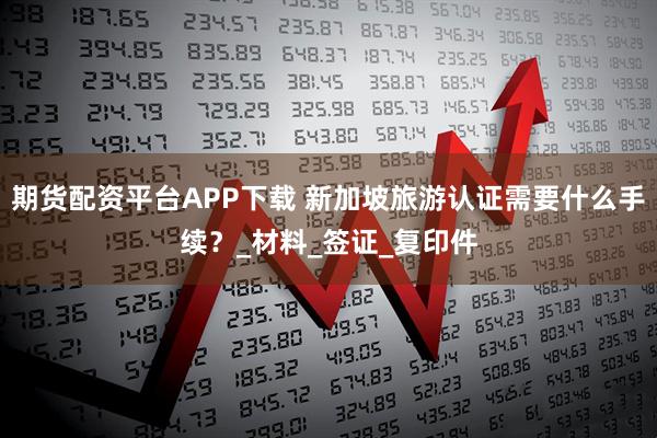 期货配资平台APP下载 新加坡旅游认证需要什么手续？_材料_签证_复印件